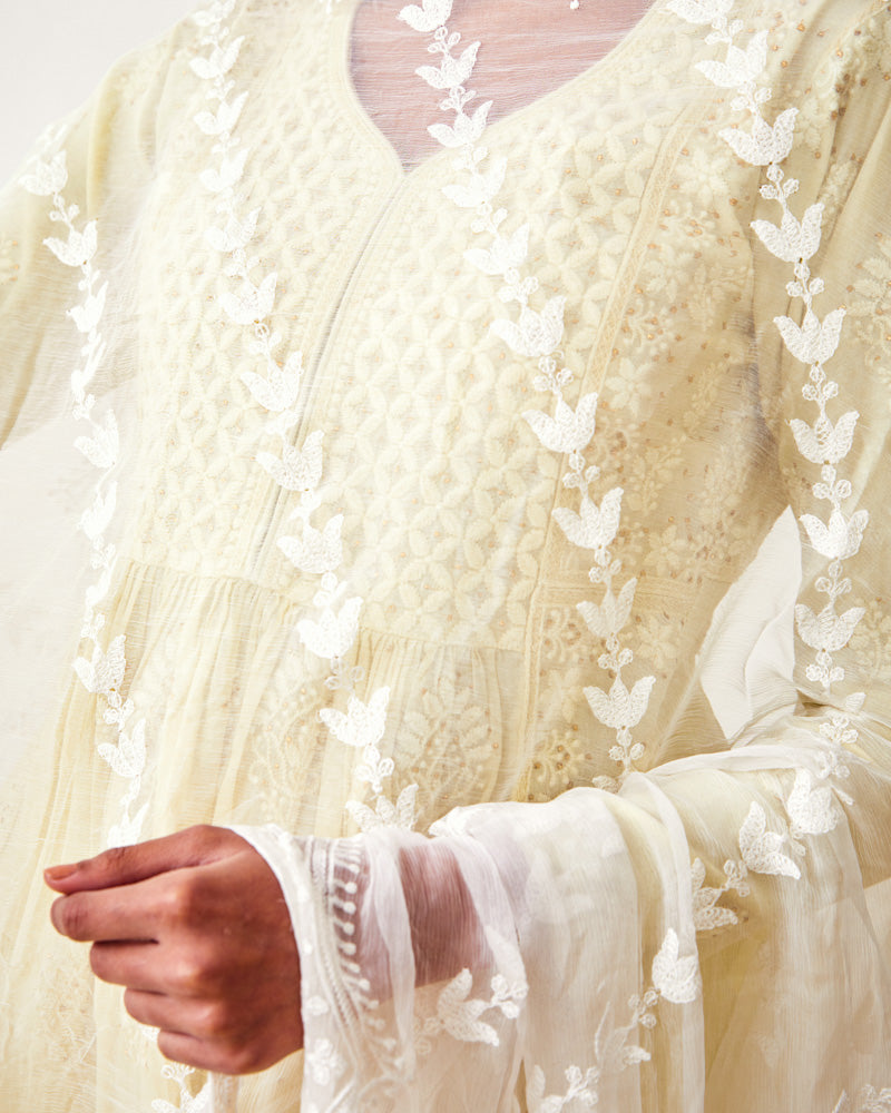 
                  
                    White Chiffon Embroidered Dupatta
                  
                